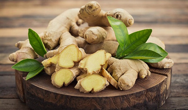 cách giảm hôi miệng bằng gừng tại nhà