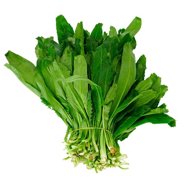 cách chữa hôi miệng tại nhà