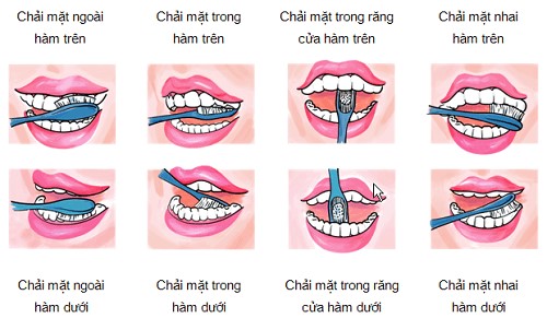 Quy trình vệ sinh răng miệng