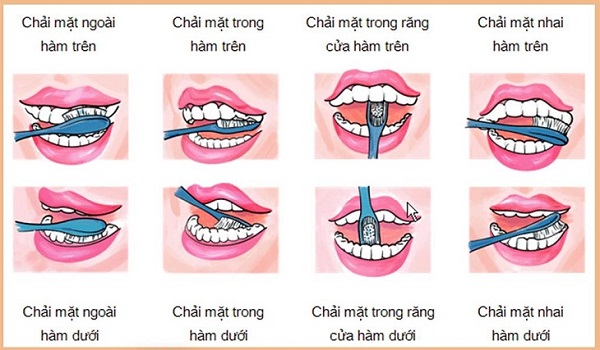Vệ sinh răng miệng đúng cách