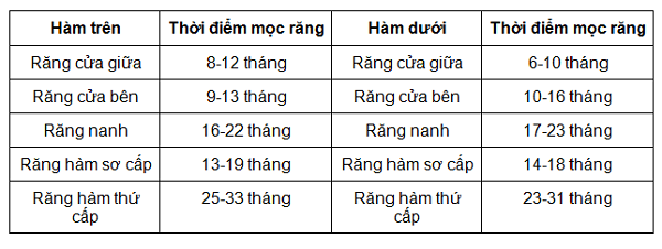 Thời điểm nào thì trẻ mọc răng