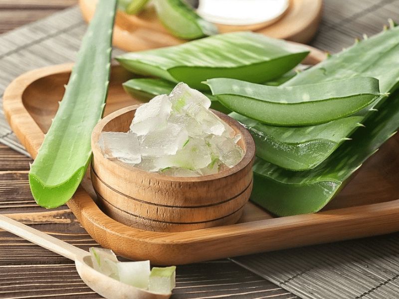Dùng lô hội hỗ trợ điều trị viêm nướu ở răng tại nhà