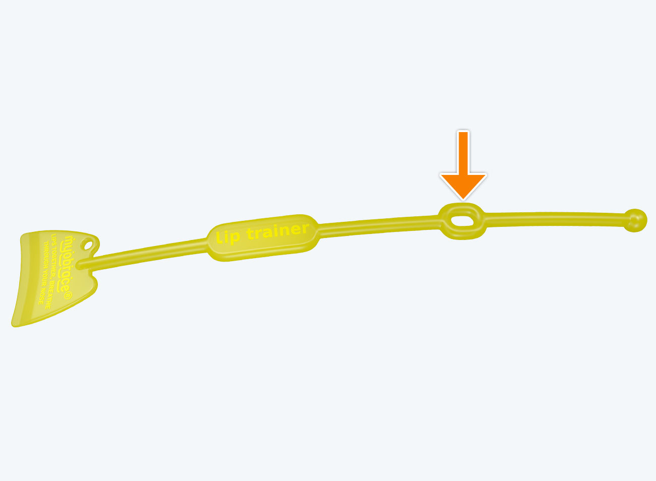 Bộ Lip Trainer&trade; – LT v&agrave; Lip Seal Trainer – LST